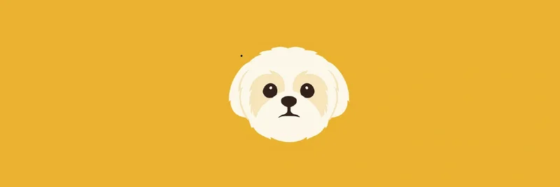 BNB 체인의 Shih Tzu (SHIH): 동물 복지를 위한 NFT 기반 밈 토큰