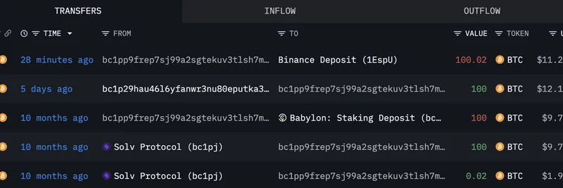 Solv Protocolが500 BTCをBinanceに預け入れ：暗号資産とミームトークンにとって何を意味するか