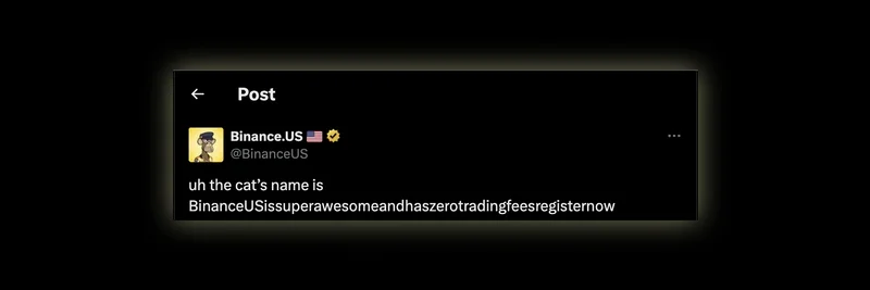 BINANCECAT (BSC): 0x3dde9c5acc5e314efaec02baea3c01a16baa867e と Binance Cat (POSEIDON) の混同を検証する