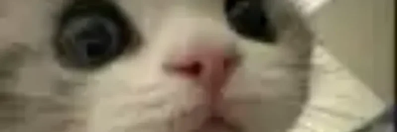 BINANCEUSISSUPERAWES 在 BNB Chain 上:Meme 代币概览、交易活动与风险