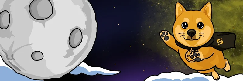 BNB 체인의 DogeWifCape (DOGEWIFCAP): 거래 방법, 위험 요소 및 핵심 사실