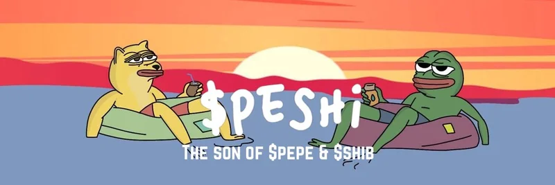 BNB Chain의 PESHI 토큰 vs Solana: 계약 주소 0x76a696e9094aefb0565cf50fdda13f0340f13434 설명