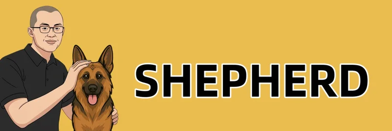 BNB Chain 上的 SHEPHERD 代币:我们对 0xf9a60bd5abe1e78834082c9ff8fef6f7a6e2ed9f 已知情况与如何 DYOR