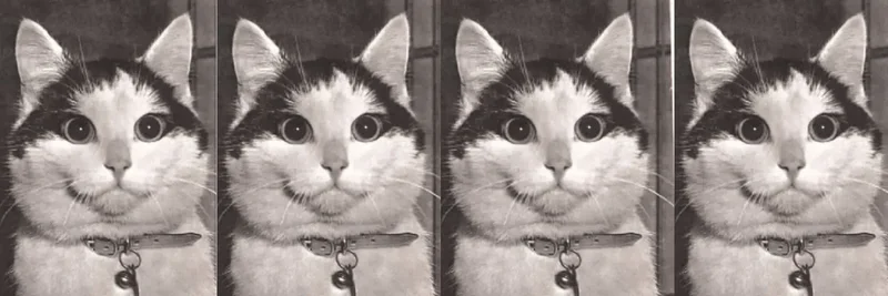 Buffins (布芬斯) 在 BNB Chain:代币概览、交易与安全注意事项