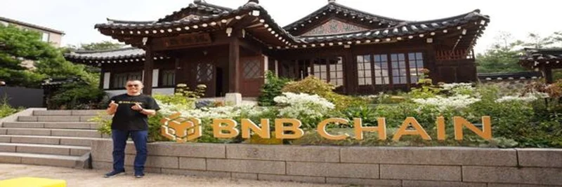 🫰 代币 (BEP-20) 在 BNB Chain:链上概览与交易指南