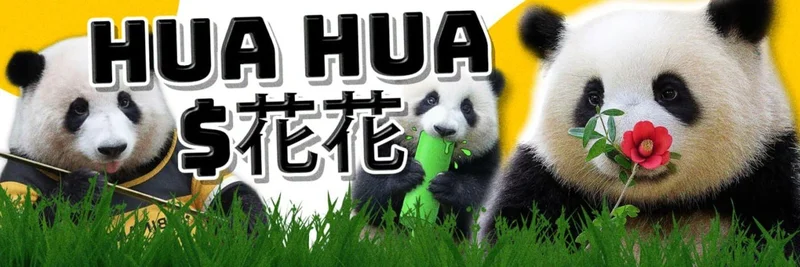 BNB ChainのHua Hua(花花):ミームコイン徹底解説 — トークノミクス、安全性、取引方法