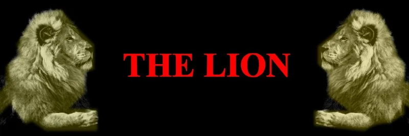 BNB Chain上のShīzi (獅子)ミームトークン:0x82f13ffb80ba5a961ca49fbb05d98c8395094444 の概要、トークノミクス、リスク、DYORガイド