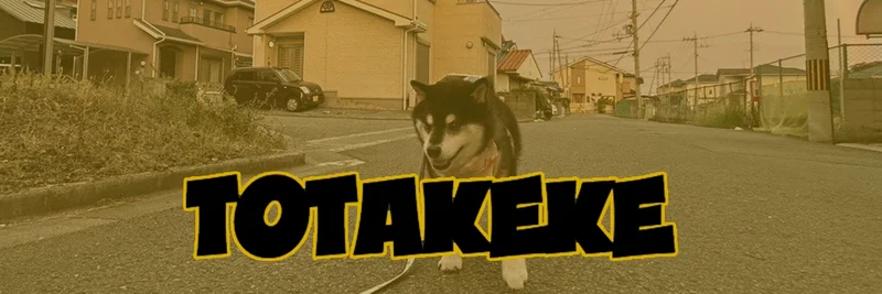 TOTAKEKE (Dark Cheems) on BNB Chain: Tokenomics, Security, Trading Tips, and Community Overview