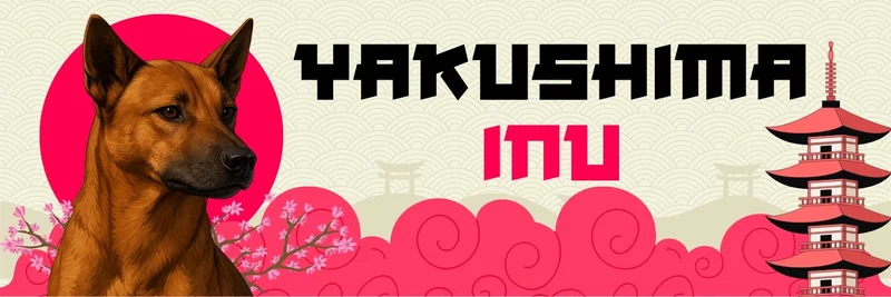YAKU 代币解析：推动屋久岛链上经济的 GameFi MMORPG