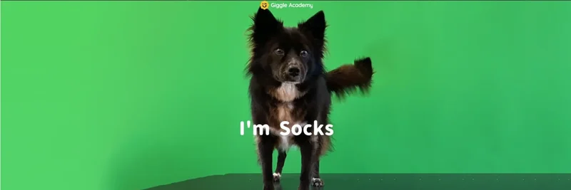 Socks (SOCKS) on BNB Chain: Giggle Academy Dog Overview, Market Data, and How to Trade