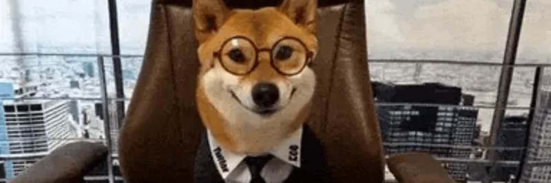BNB Chain의 FLOKI CEO OF X: 토크노믹스, 홀더 보상 및 거래 방법