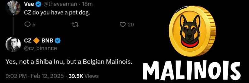 BNB Chain의 MALINOIS 토큰: 계약, 유동성 확인 및 유사 토큰 주의