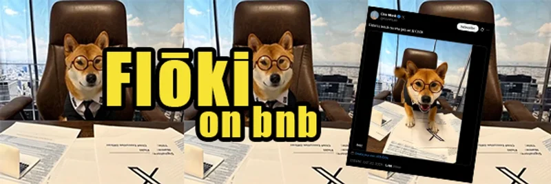 Flōki (BNB Chain) 토큰 심층 분석: 커뮤니티 테이크오버, 시장 데이터, 그리고 FLOKI Inu와의 차이점