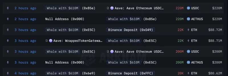 Mysterious Whale Borrows $265M ETH from Aave and Deposits to Binance: Richard Heart Connection?
