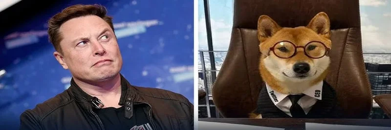 XFLOKI(NEW X CEO IS BACK):イーサリアムのミームトークン概要、トークノミクス、取引ガイド