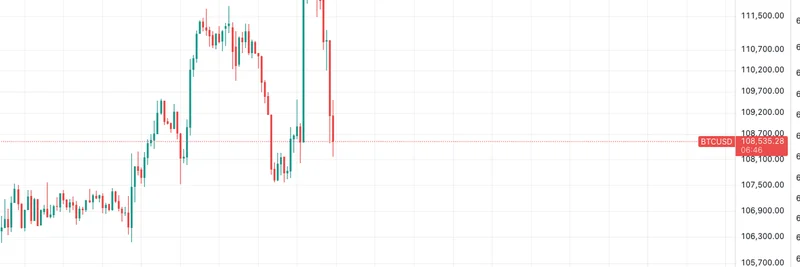 Shadow Trader Admits 'I Don't Know Shit' in Volatile Meme Coin Market