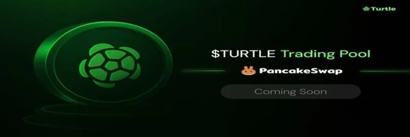 TURTLE Token on BNB Chain: Real-Time Metrics, PancakeSwap Trading, and Critical Security Red Flags
