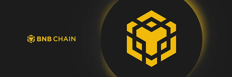 Public Companies Accumulate Over $600M in BNB: Implications for Meme Tokens and Blockchain Growth
