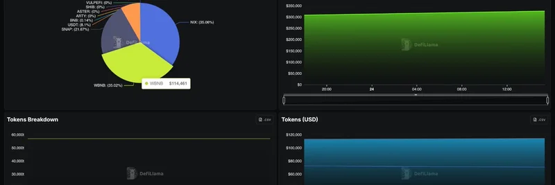 DeFi Llama Adds Cripto no Pix to Treasuries Dashboard: NIX Token Insights