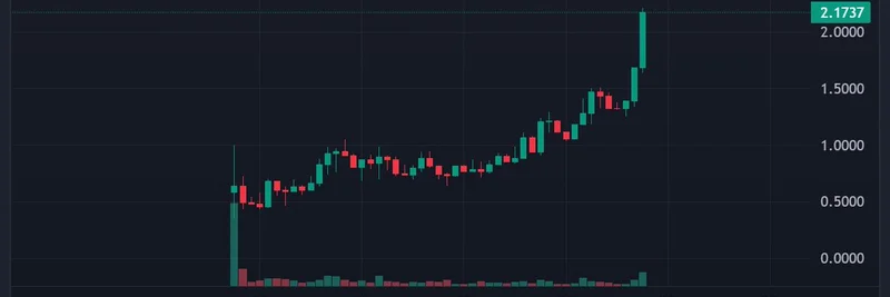 Avici ($AVICI) 在 Solana 爆发:这枚具备真实效用的 Neobank Meme 代币为何引人注目