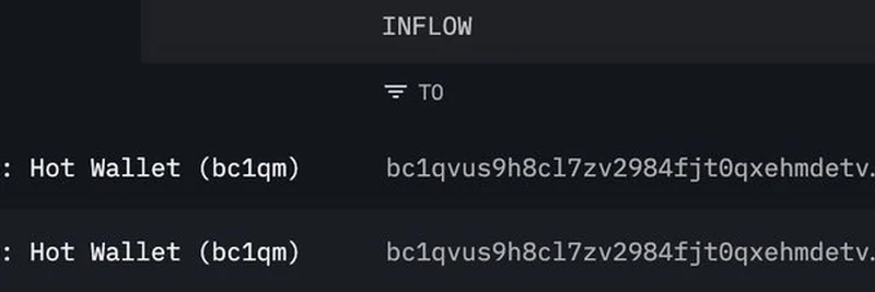Bitcoin Whales Accumulate $220M in BTC from Binance: Implications for Meme Tokens