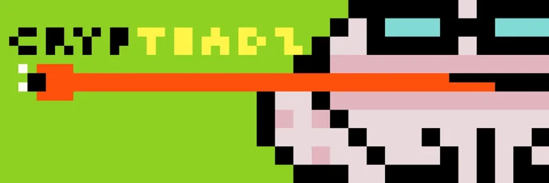 What Is TOADSTR? Investigating 0xe9b61a6e4003c854fd3593366734bd7b9c997cd3, ToadzStrategy, and Chain Mismatch Risks