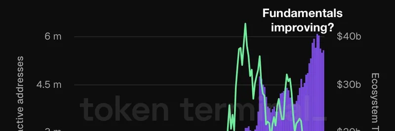 솔라나 밈 코인 열풍 진정: 활성 주소 감소에도 TVL 급증