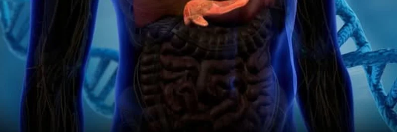 Solana 联合创始人 Raj Gokal 对 CRISPR 治愈糖尿病的情感反应:‘未来如此光明’