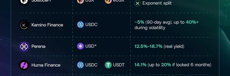 솔라나에서 스테이블코인 수익 활용하기: 밈 트레이더를 위한 주요 기회