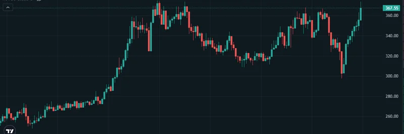 Zcash 가격 급등으로 트레이더 Wei Zhao 청산: 비트코인의 거친 초창기 폭락과의 유사점