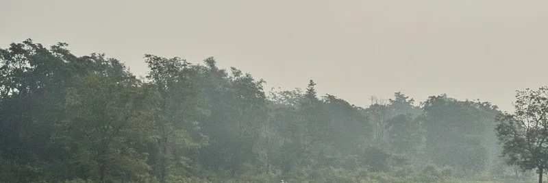 超越加密上的数百万：在 Meme 代币世界中的自我发现与技能建设