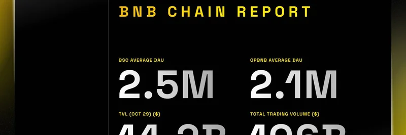 BNB Chain 週間レポート 10月23日–29日：ミームトークンのエアドロップとエコシステムの成長