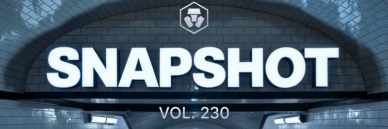 Crypto.com 스냅샷 230: 최신 암호화폐 뉴스와 밈 토큰에 미치는 영향