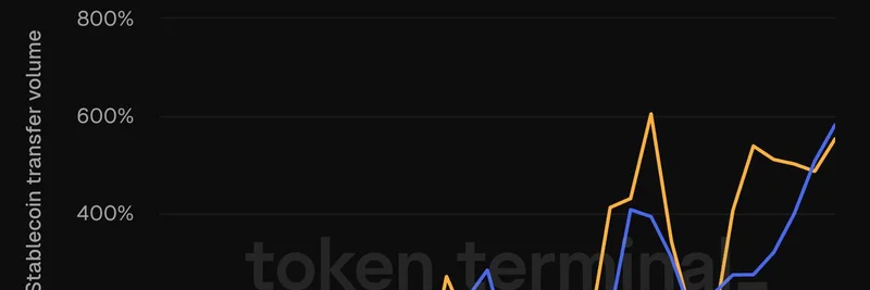暗号資産の投機とステーブルコインの成長：DEX出来高が5.5倍に、ミームトークンのブームを示唆