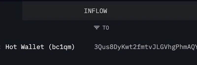 比特币鲸鱼在市场变动中累积数百万 BTC：对 Meme 代币的影响