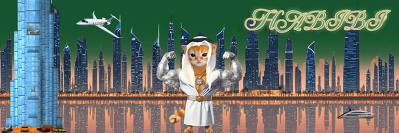 HABIBI on BNB Chain (BEP20): Contract 0x5d4c… Insights, Risks, and Trading Tips