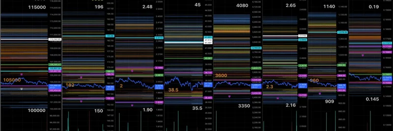 비트코인 $100K 조정: Wyckoff Spring이 밈 토큰 반등 가능성을 시사하다