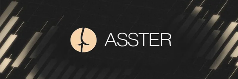 ASSTER (ASTER) 在 BNB Chain 上：代币经济学、功能、隐私与风险清单