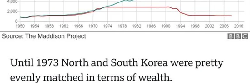 로라 신의 NYC 시장 선거 해석: 자본주의가 밈 토큰을 부추기는 이유