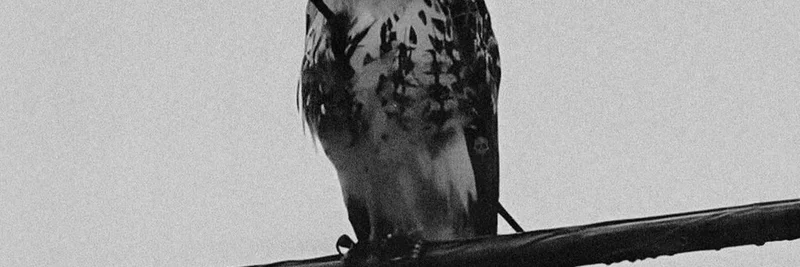 Solana Cypherpunk Hackathon: 수천 명의 빌더들이 시장 폭락과 FUD를 뚫고 전진