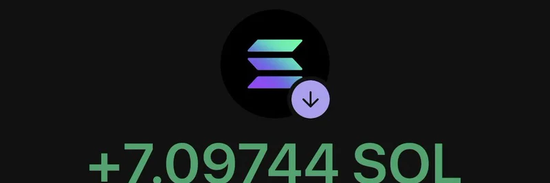 Shadow36's Donation Boosts $FTP Meme Token: Feeding the Homeless with Solana Rewards