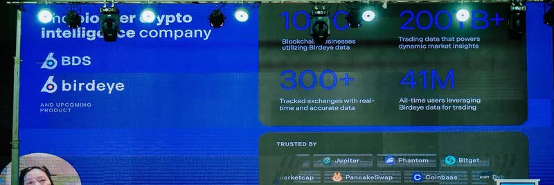 解码 Solana 上的稳定币：Birdeye 在 2025 年 Solana Summit Africa 的洞见