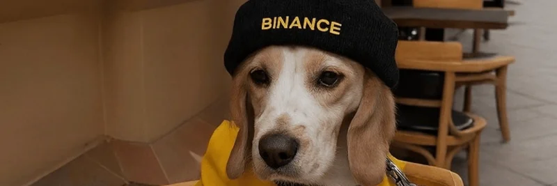 BNB Chain上のCDトークン：0x942b86b226868f90c57148263b95f20f7b134444が示す保有者・活動・リスクの示唆