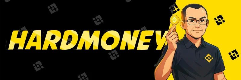 Hardmoney Token on BNB Chain: Contract 0x21ddba7de424ec20c8d564b96fb2e6cff600ccd7 Analysis, Verification, and Trading Considerations