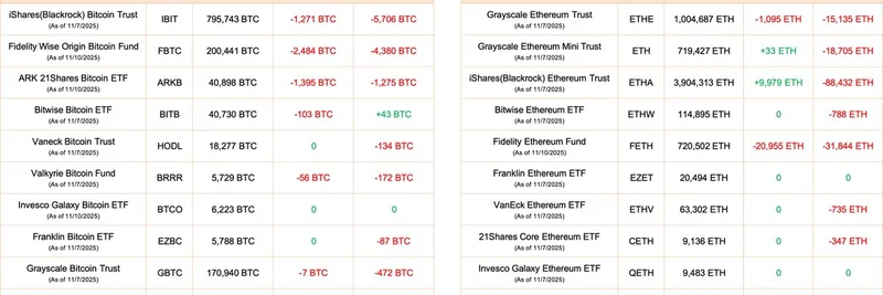 비트코인·이더리움 ETF 2025년 11월 대규모 유출: 밈 코인 시장에 미칠 영향