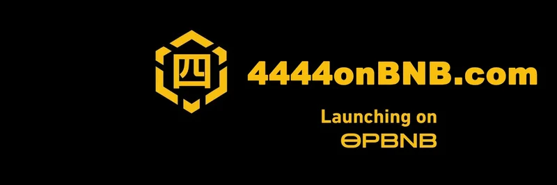 BNB Chain의 4444 토큰: 우리가 아는 것, 주요 리스크 및 컨트랙트 0x0aa99e4255b42c7d179f3b03e117c696b43ae6f4 검증 방법