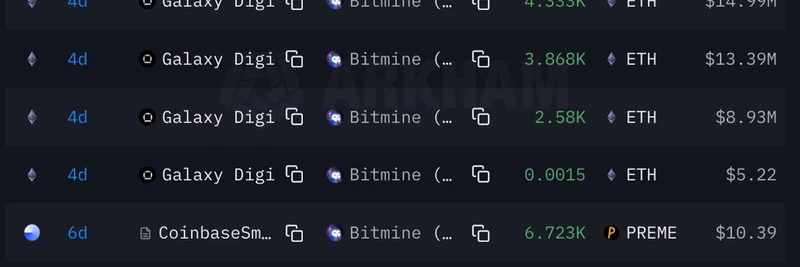시장 하락 속 주요 암호화폐 플레이어들로부터 $234M 상당의 ETH를 축적한 BitMine