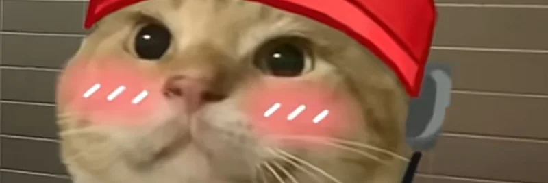 Ansemの「Coop」ツイートがXでミームコインの熱狂を引き起こす