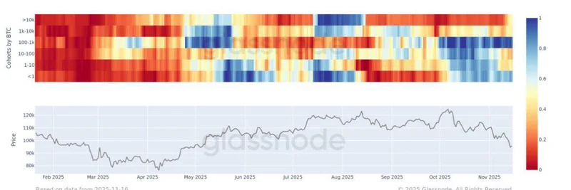 ビットコインのクジラが8月以来初めて分配を鈍化：重要な洞察