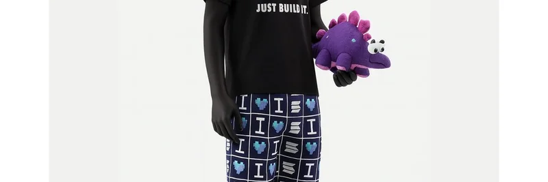 Solana Breakpoint 2025：手ぶらで来て、スワッグとミームトークンの知見を持ち帰る